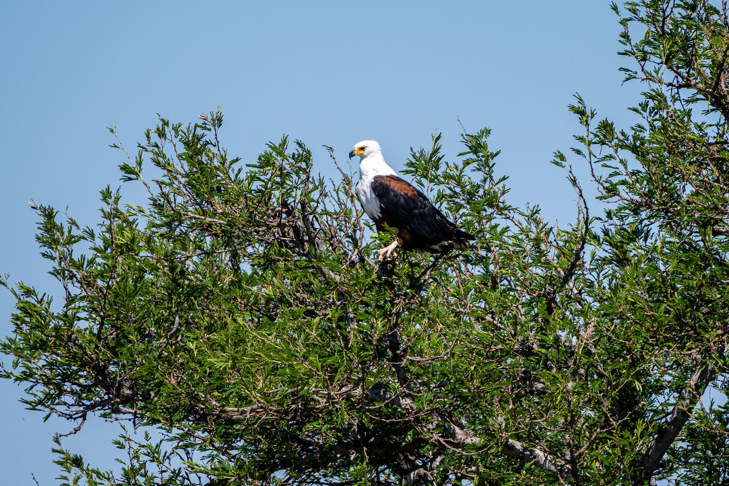 20231005 132758 Fotobuch Südafrika 02072